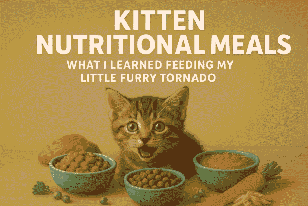 Kitten Nutritional Meals