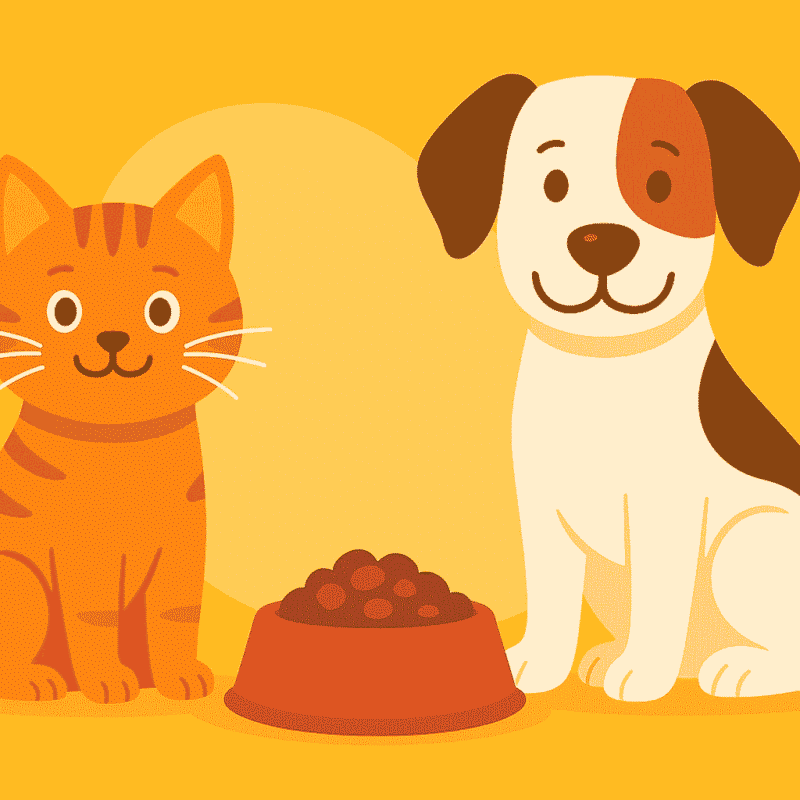 Why I Switched to a Single Protein Pet Diet