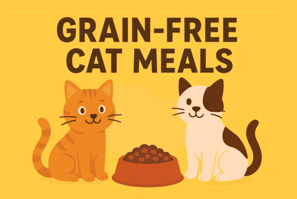 Grain-Free Cat Meals
